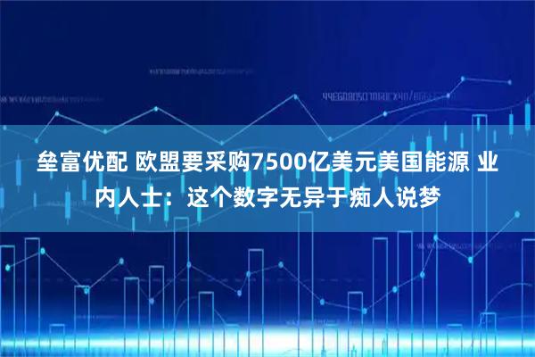 垒富优配 欧盟要采购7500亿美元美国能源 业内人士：这个数字无异于痴人说梦